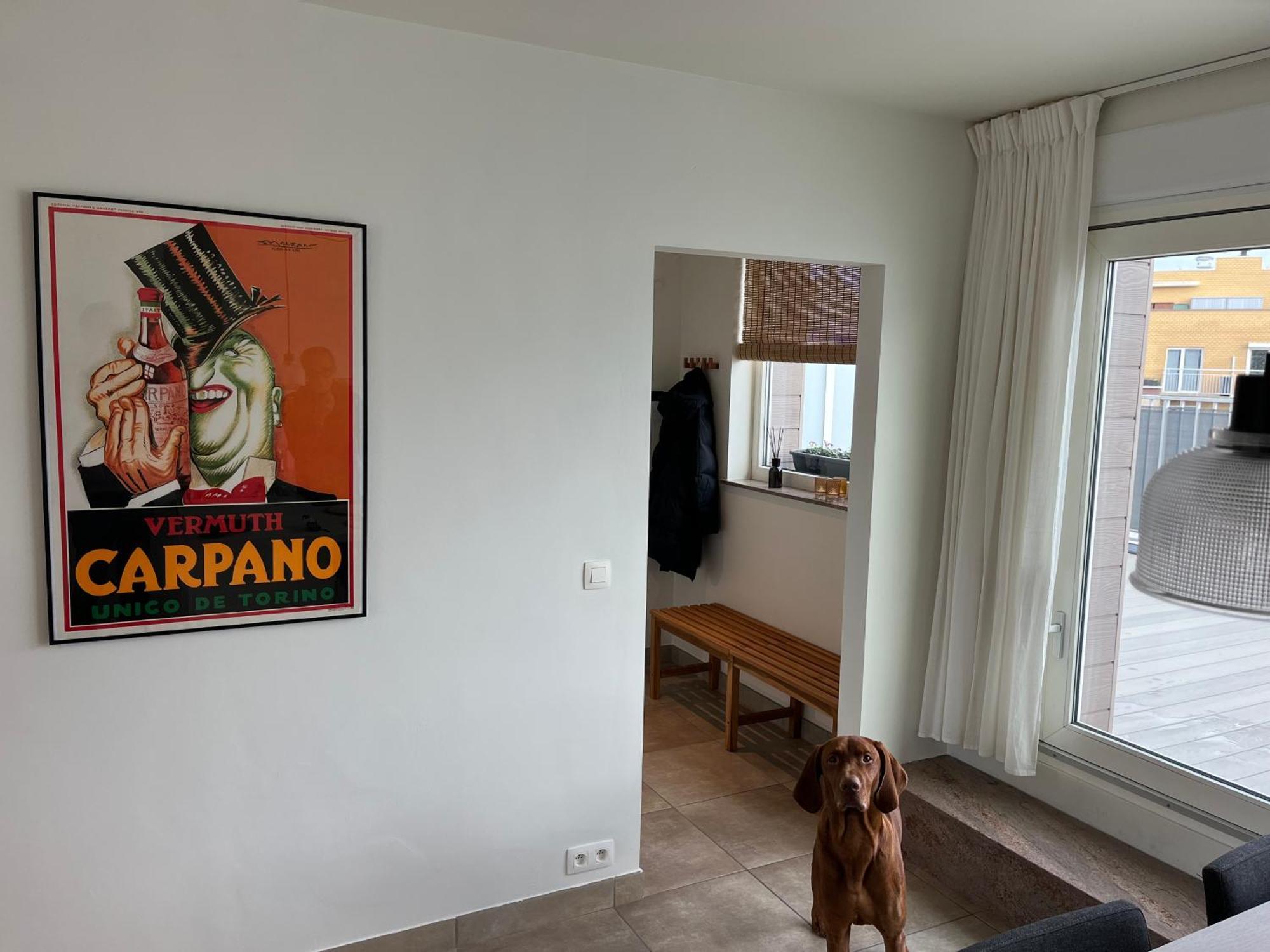 Penthouse 29 Apartment Oostende Bagian luar foto